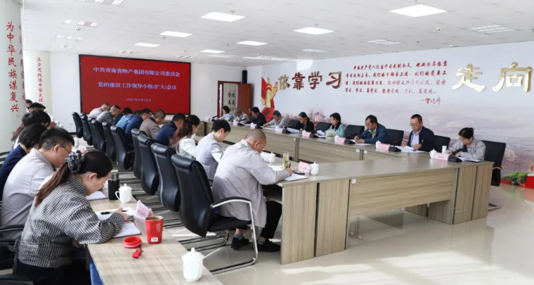 省TVT体育官网集团党委召开党的建设工作领导小组（扩大）会议