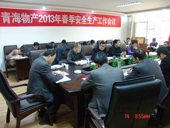 省TVT体育官网集团召开2013年春季安全生产工作会议