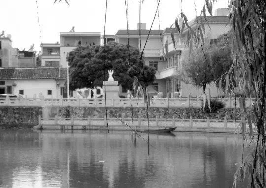 老乡眼里的李河君：陌生富豪，夫人助其发财